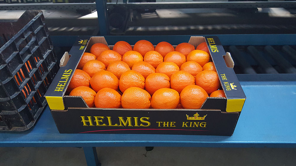 Helmi King Fruit - Our Products