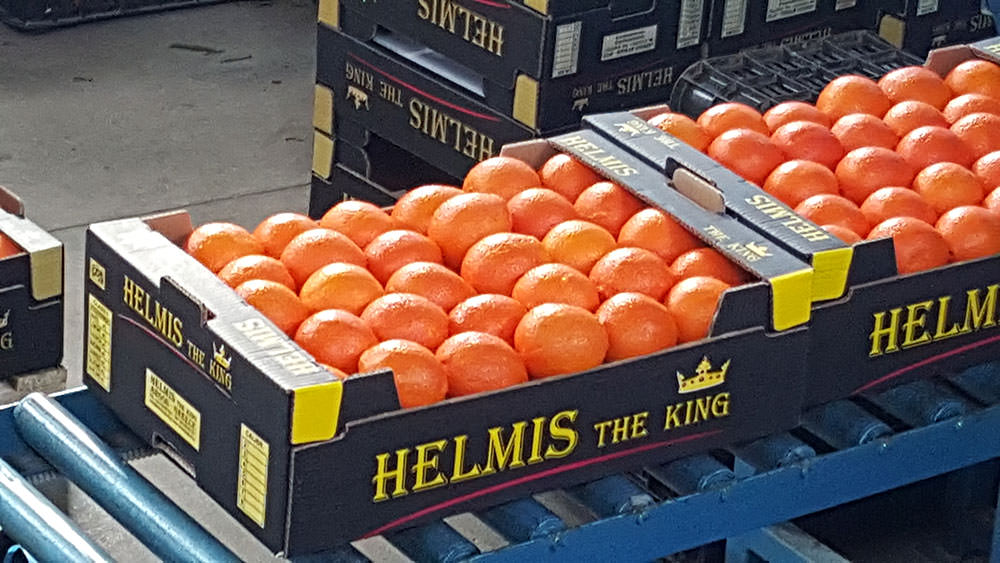 Helmi King Fruit - Our Products