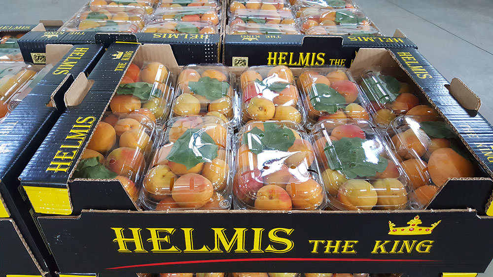 Helmi King Fruit - Unsere Produkte